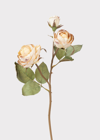Dried Look Fake Roses in Beige - 21"