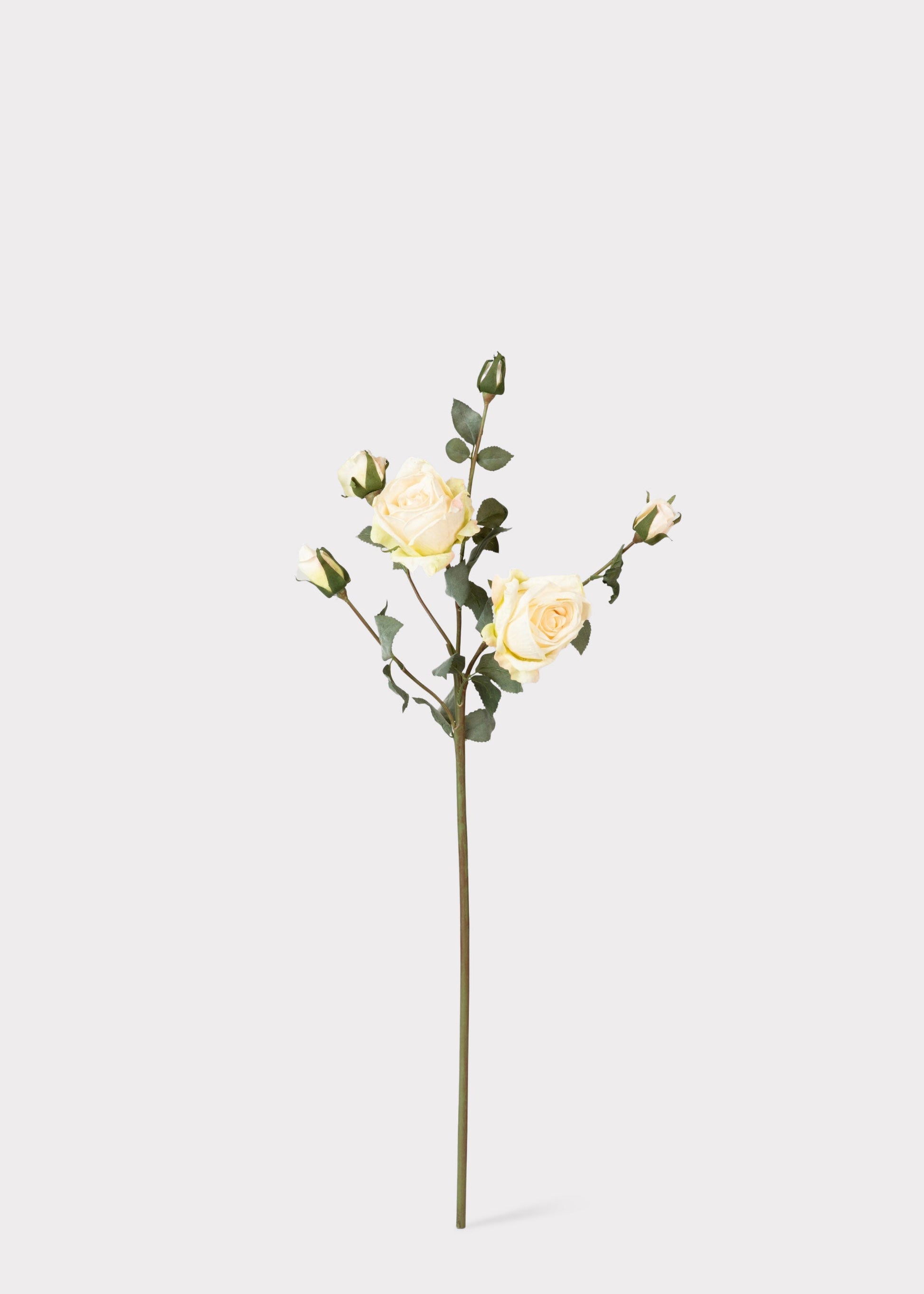 Artificial Roses in Cream - 27.5"