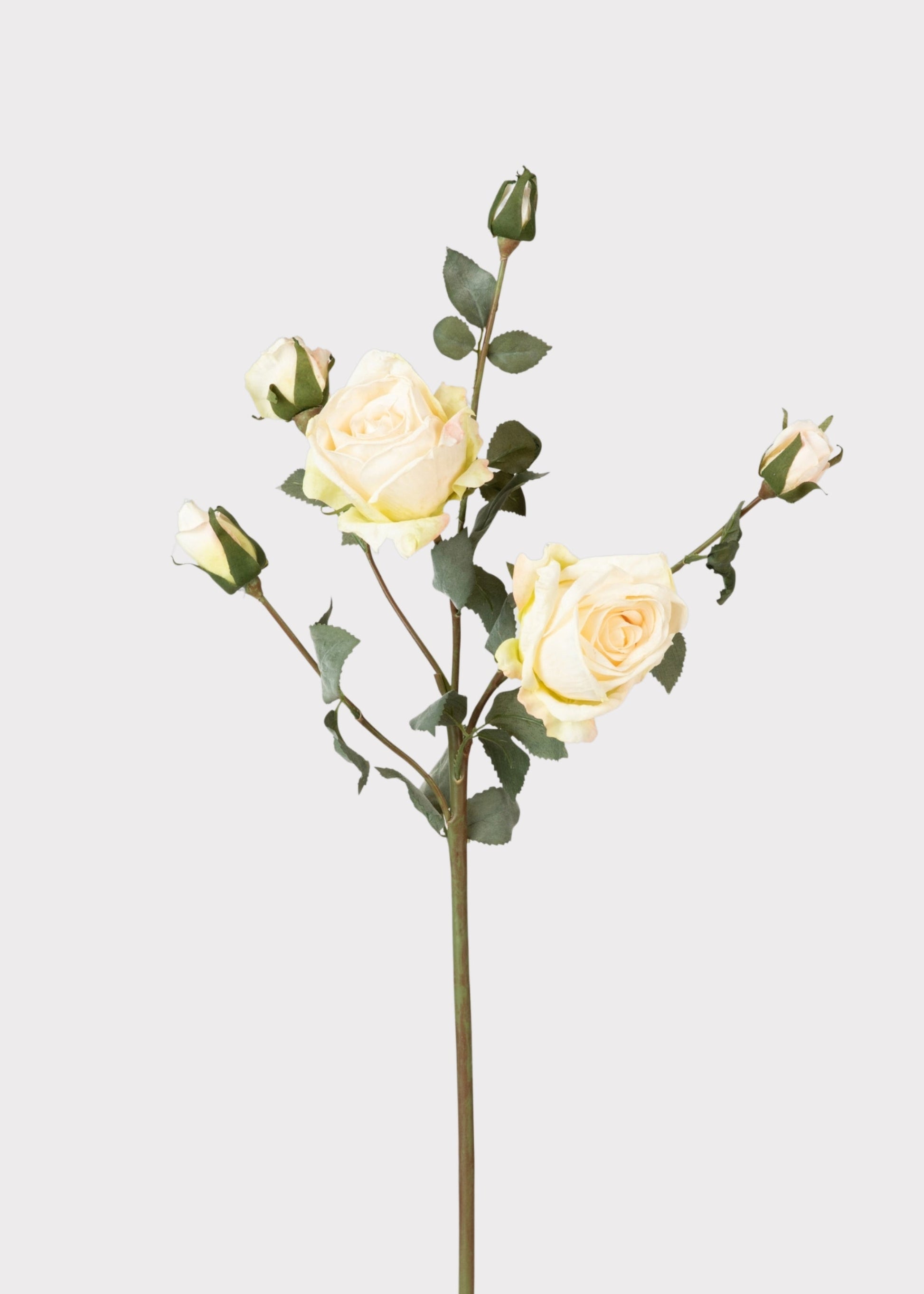Artificial Roses in Cream - 27.5"
