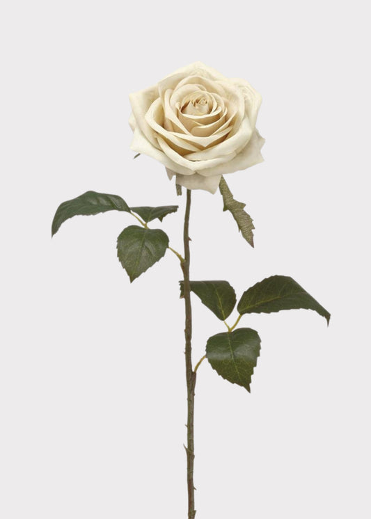 Cream Fake Rose - 21.5"