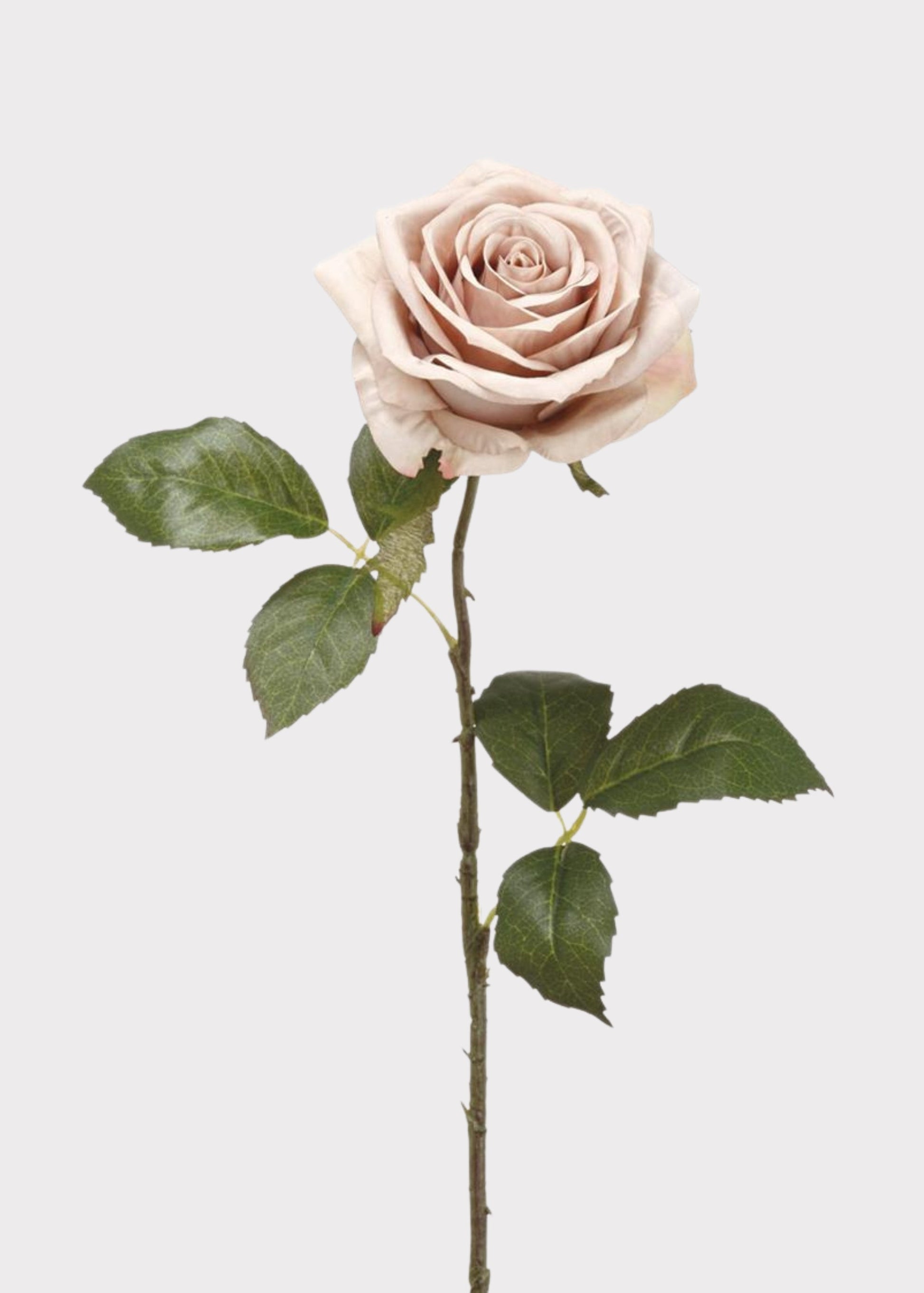 Artificial Flowers Rose in Taupe Beige - 21.5"
