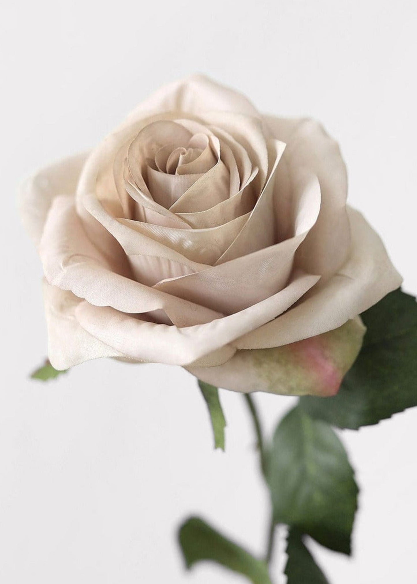Artificial Flowers Rose in Taupe Beige - 21.5"