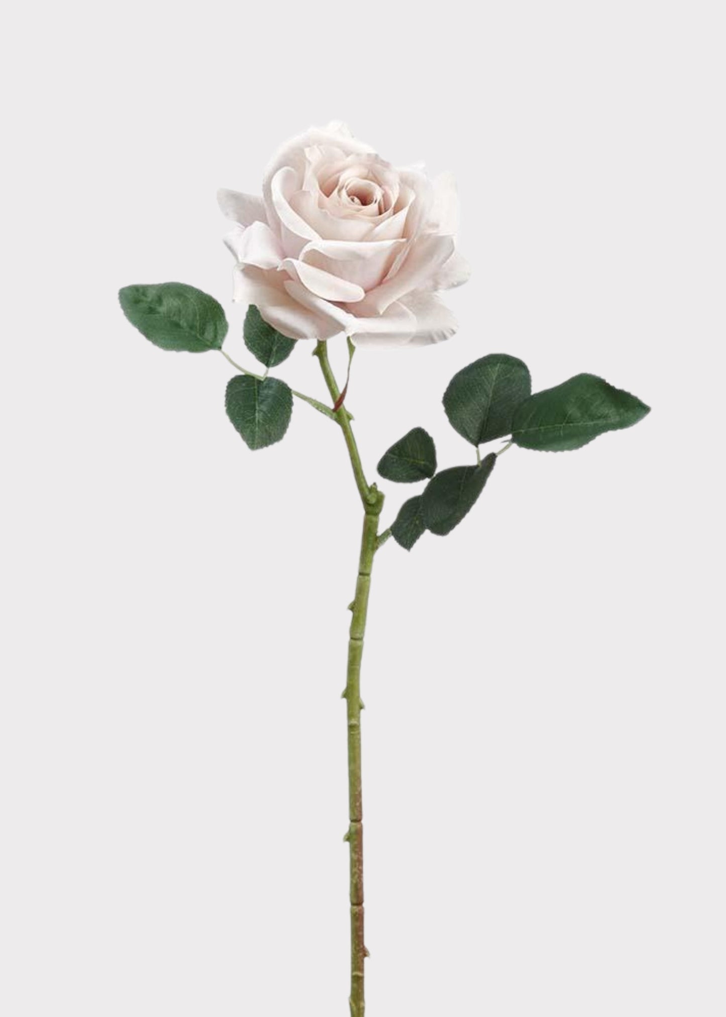 Artificial Curly Rose Stem in Taupe - 24.25"