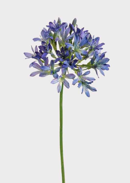 Blue and Purple Fake Agapanthus Flower - 35"