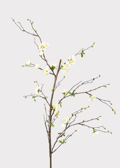 Premium Artificial Flowers  - Cream Artificial Blossom Branch - 57"