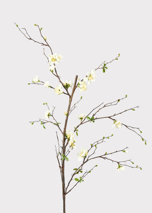 Premium Artificial Flowers  - Cream Artificial Blossom Branch - 57"