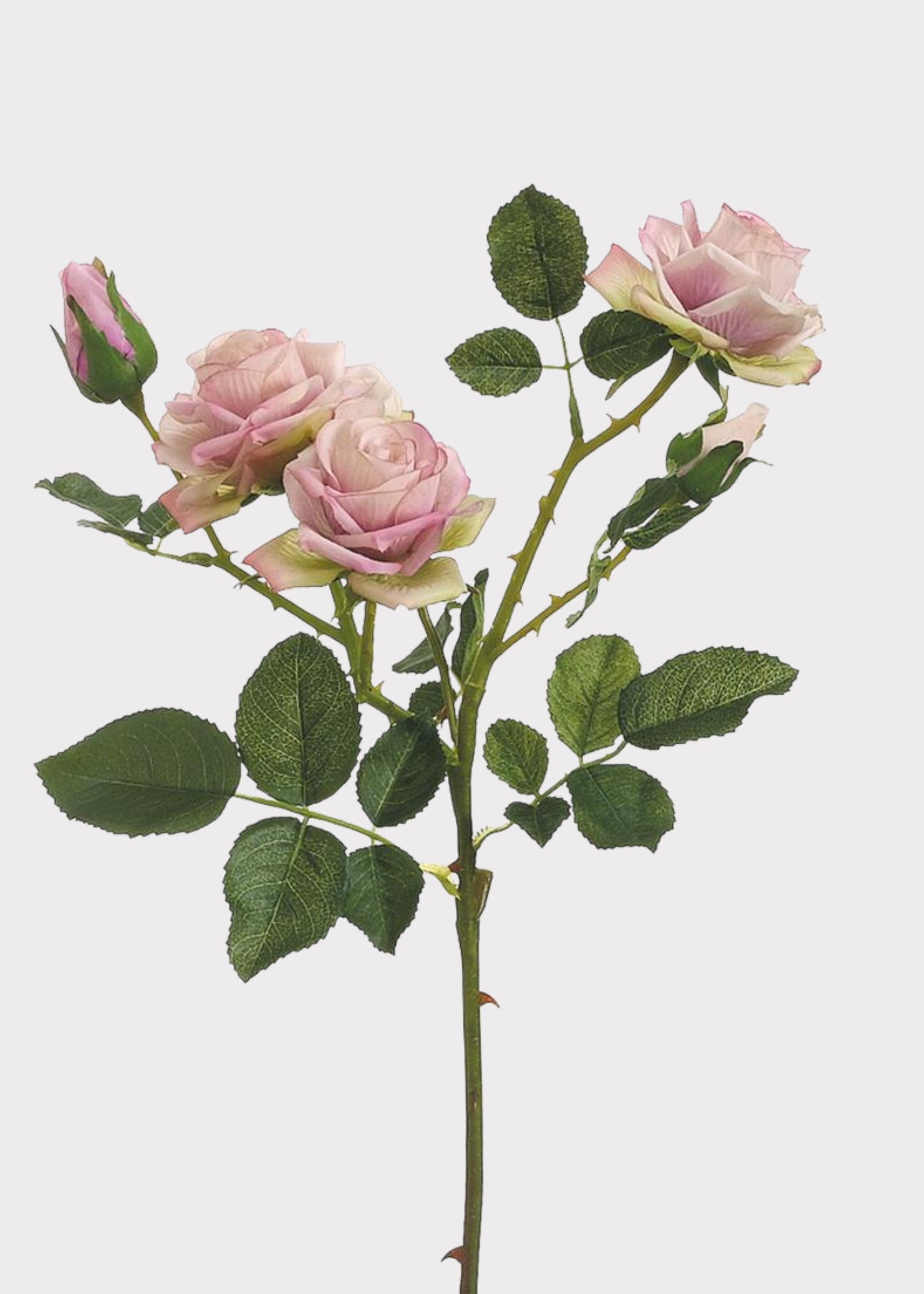 Artificial Roses Stem in Lavender - 22.5"