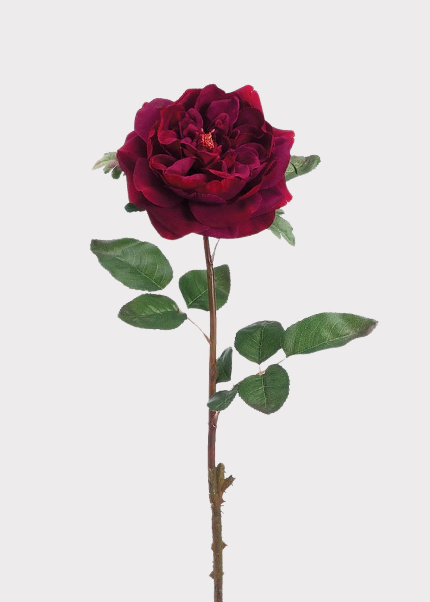 Artificial English Rose in Wine - 20"