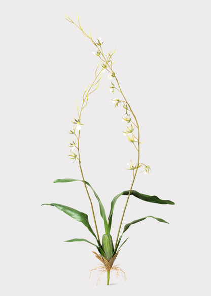 Tall Artificial Blooming Brassia Orchid Plant - 52"