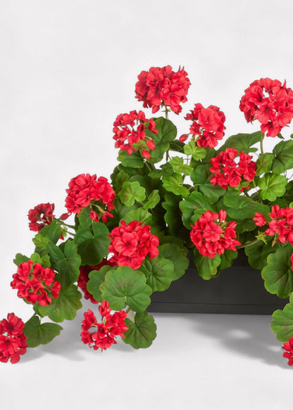 Red Artificial Geranium Arrangement in Plastic Planter - 18"