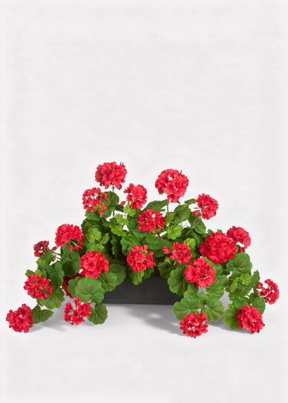 Red Artificial Geranium Arrangement in Plastic Planter - 18"