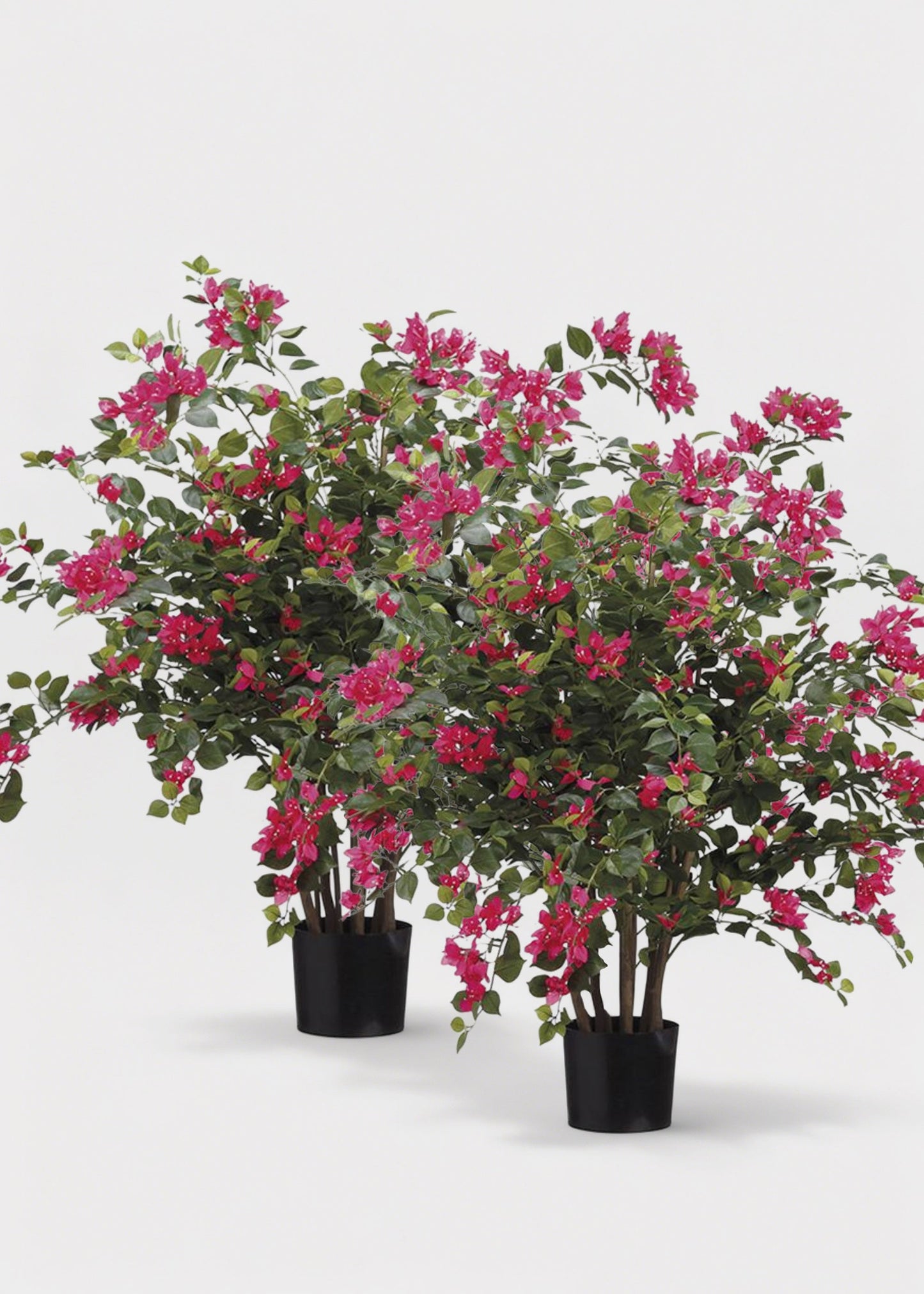 Pack of 2 Fake Blooming Bougainvillea Potted Patio Arrangement  - 39"