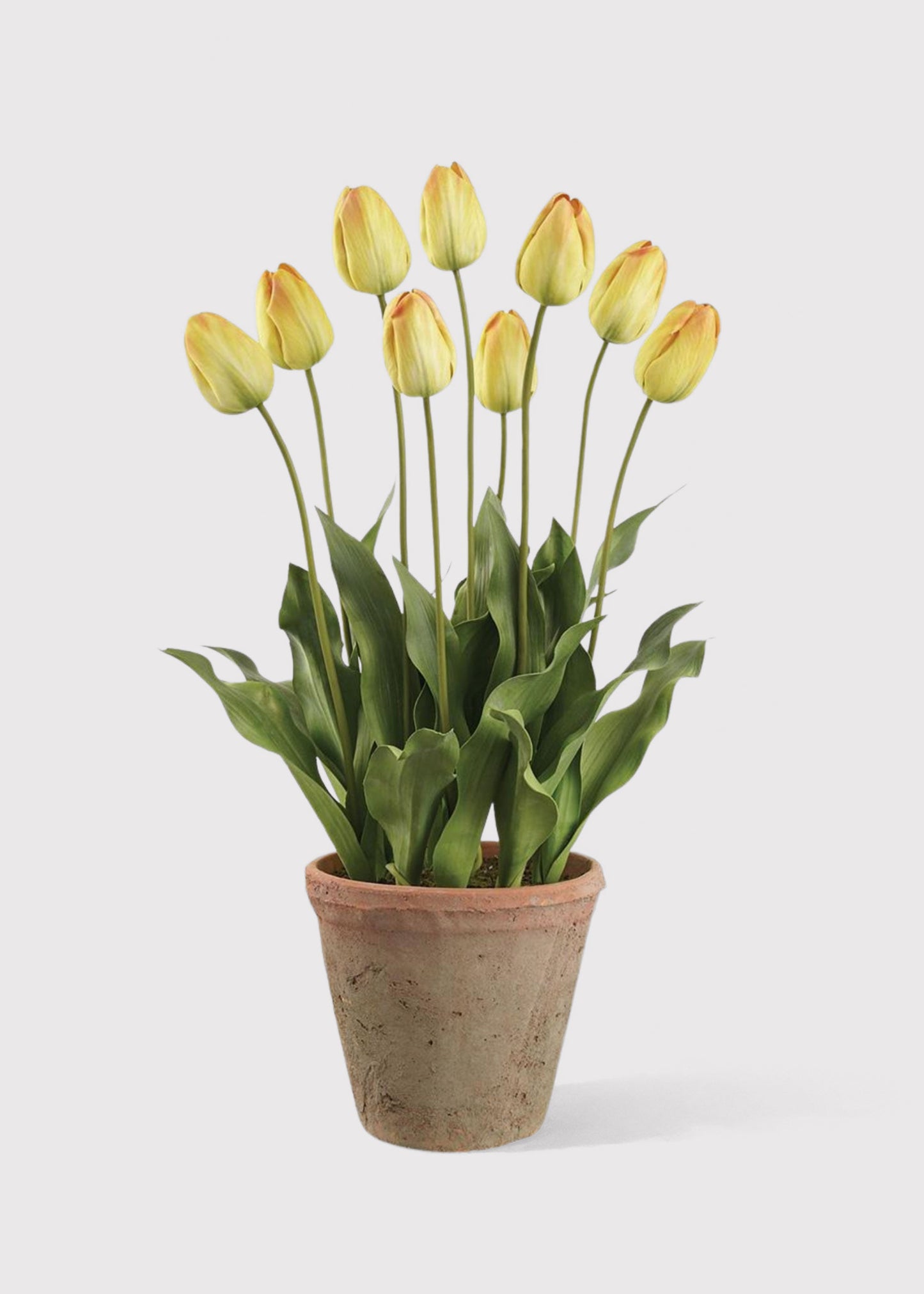 Yellow Artificial Tulip Flower Arrangement in Clay Pot - 27"