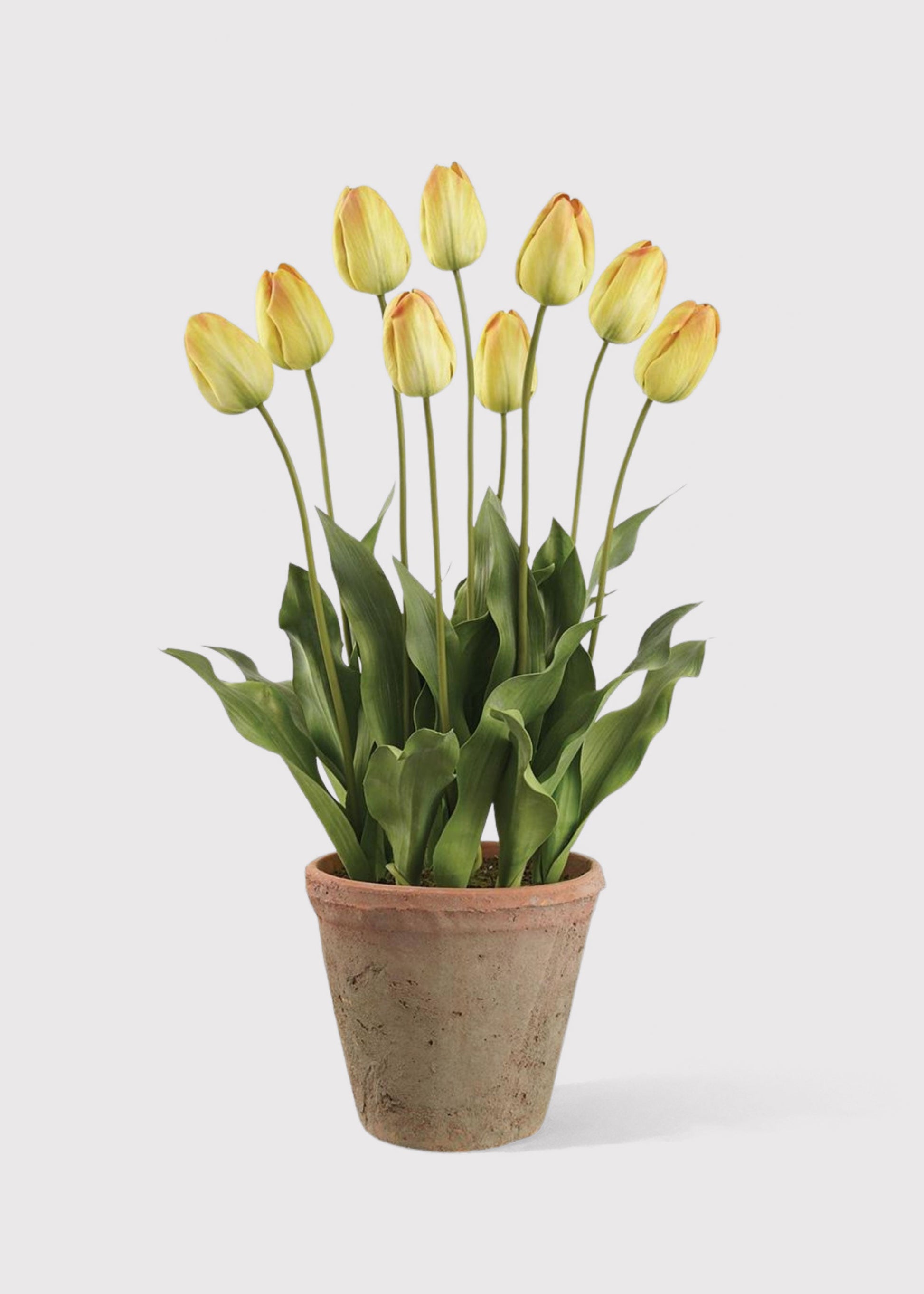 Yellow Artificial Tulip Flower Arrangement in Clay Pot - 27"