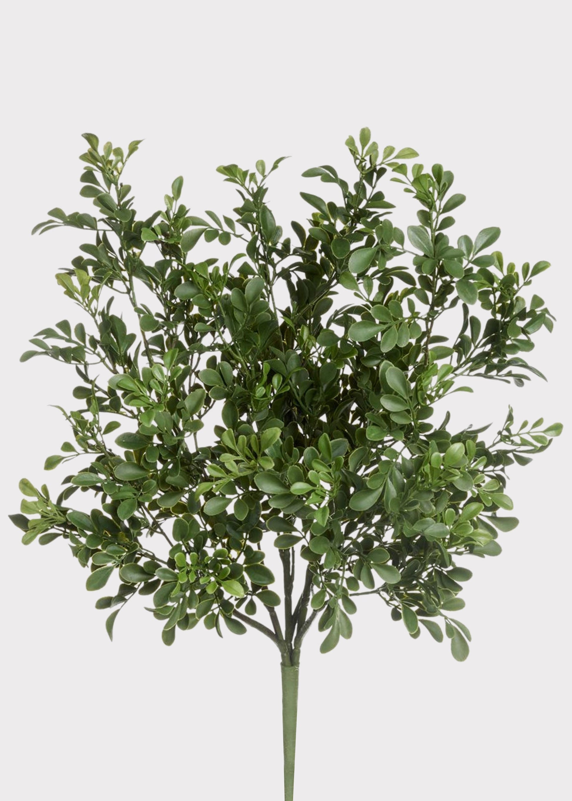 Fake Plants UV Treated Indoor/Outdoor Boxwood Bush - 24"