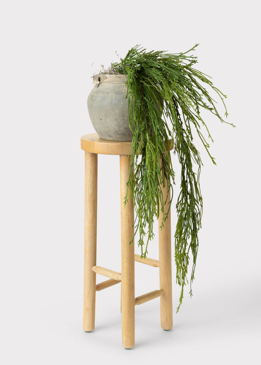 UV Treated Indoor/Outdoor Fake Hanging Moss Fern Plant - 38.5"