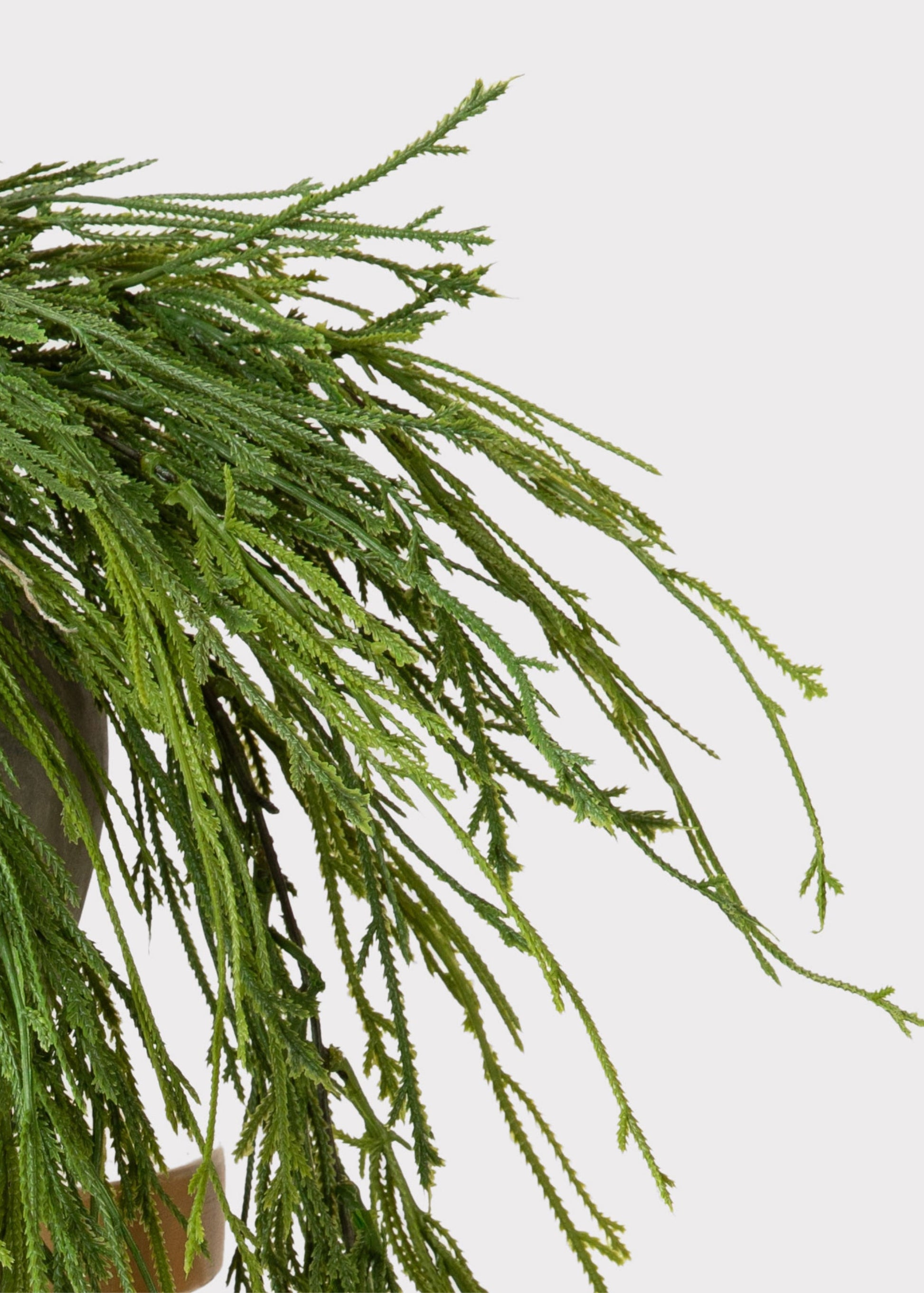 UV Treated Indoor/Outdoor Fake Hanging Moss Fern Plant - 38.5"