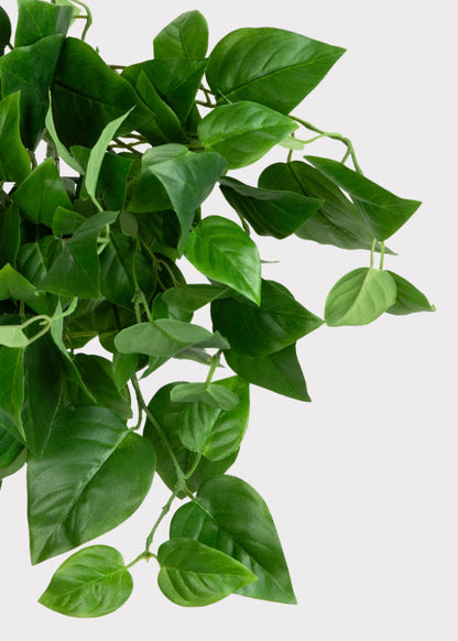 UV Treated Fake Indoor/Outdoor Hanging Philodendron Plant - 16"