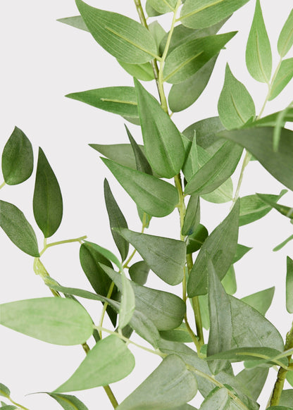 Faux Italian Ruscus Spray - 46"