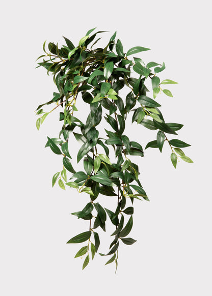 Fake Ruscus Leaf Hanging Plant - 31"