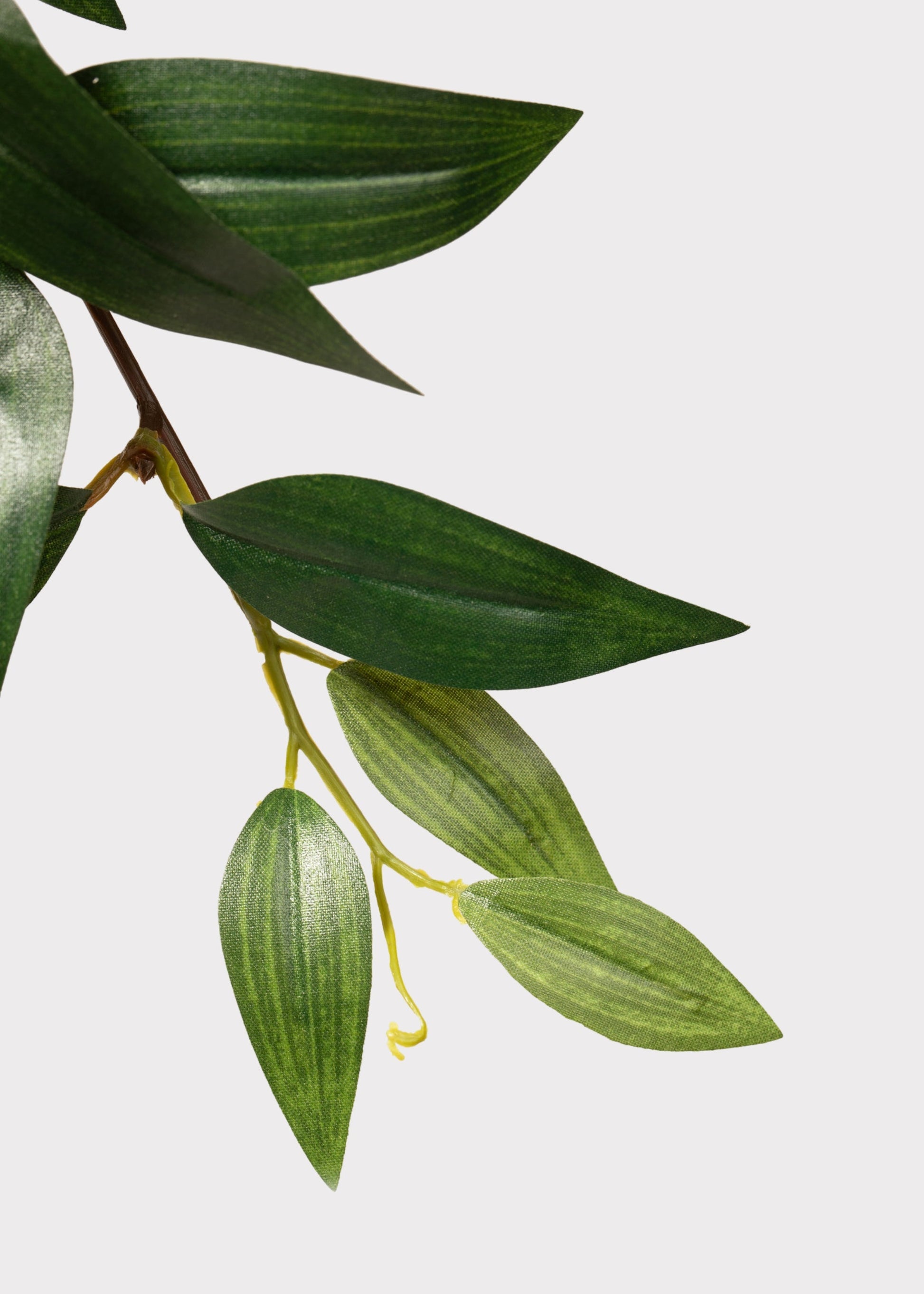 Fake Ruscus Leaf Hanging Plant - 31"