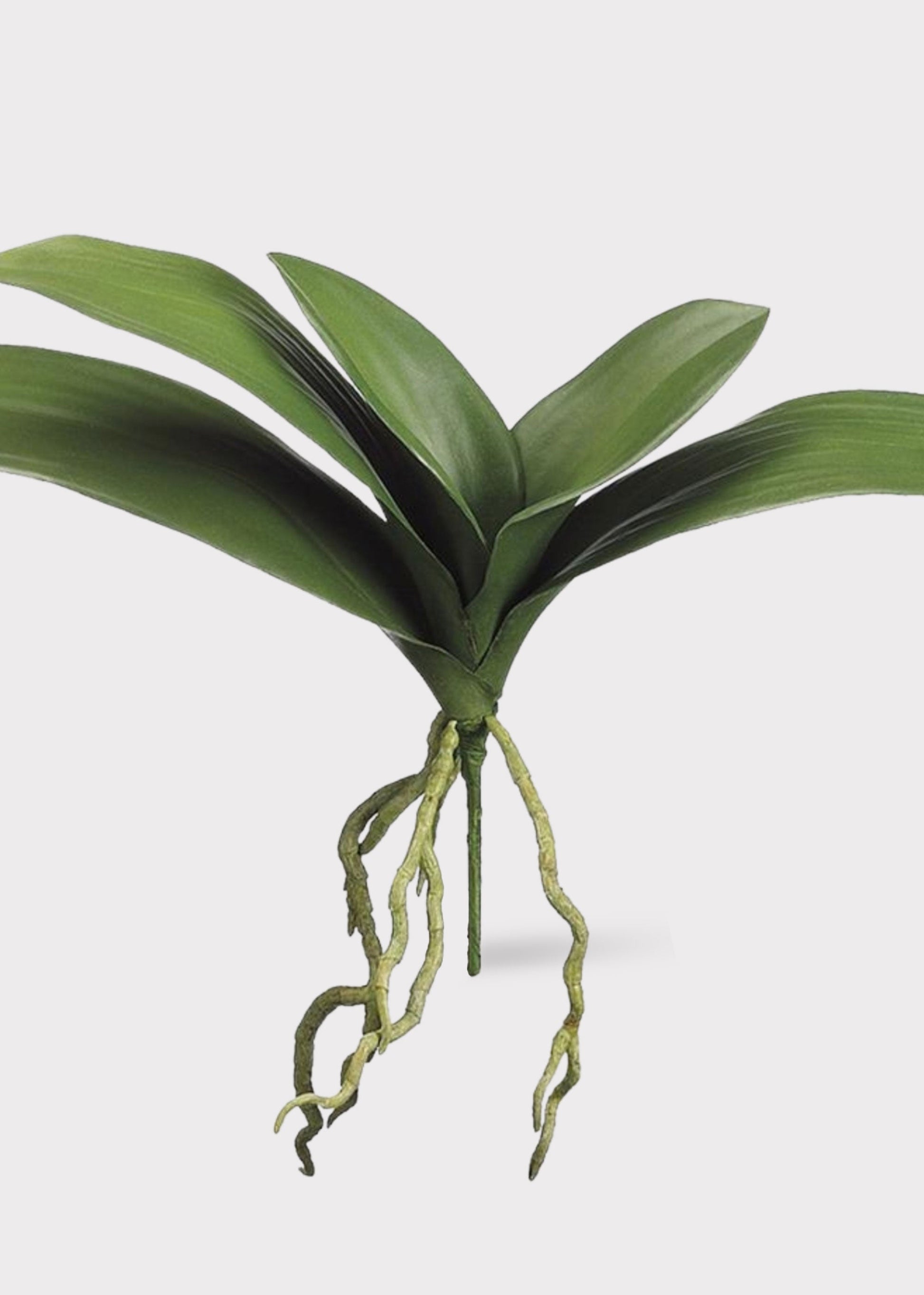 Artificial Phalaenopsis Orchid Leaf Plant - 15"