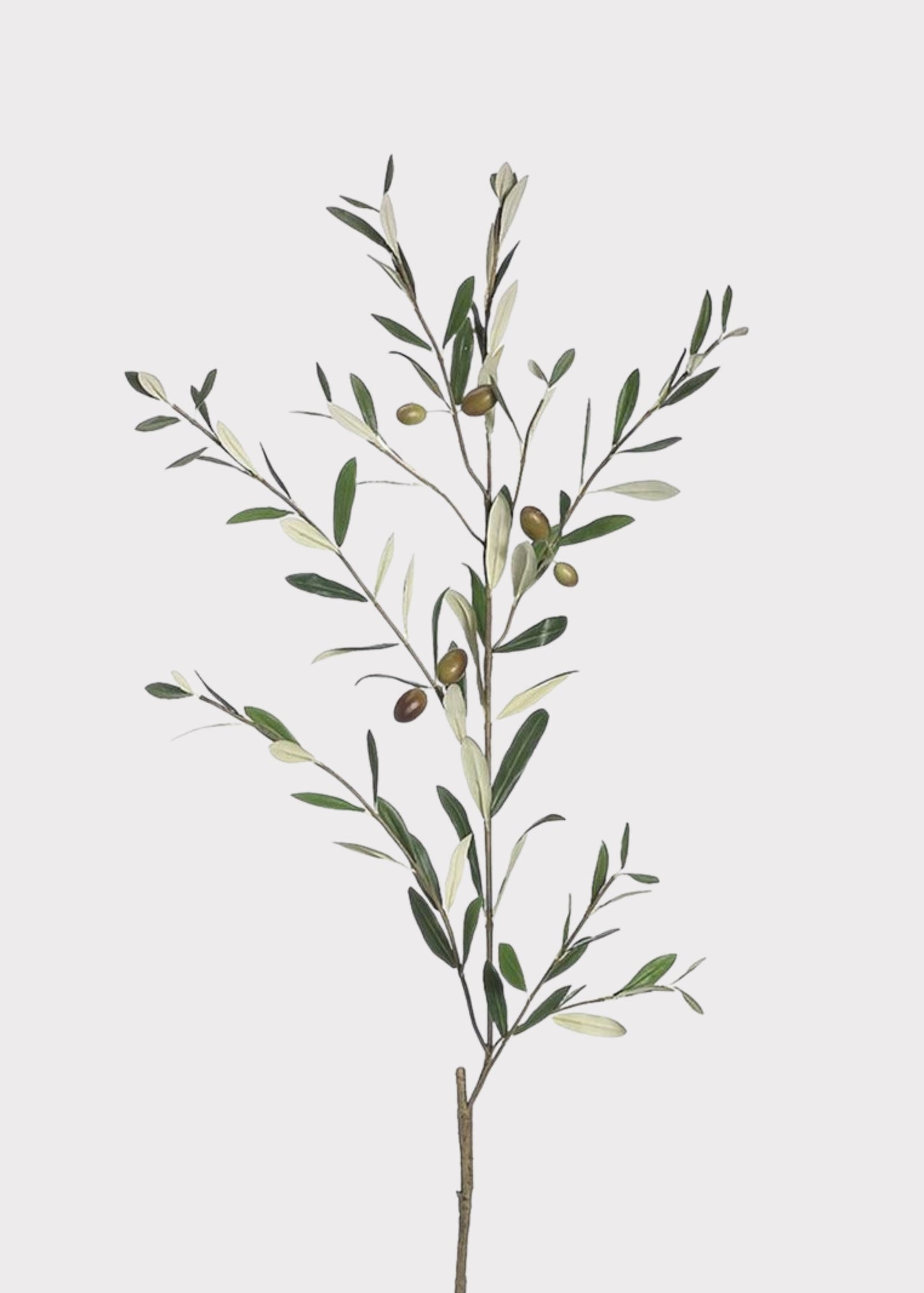 Deluxe Artificial Olive Leaves Branch - 38"