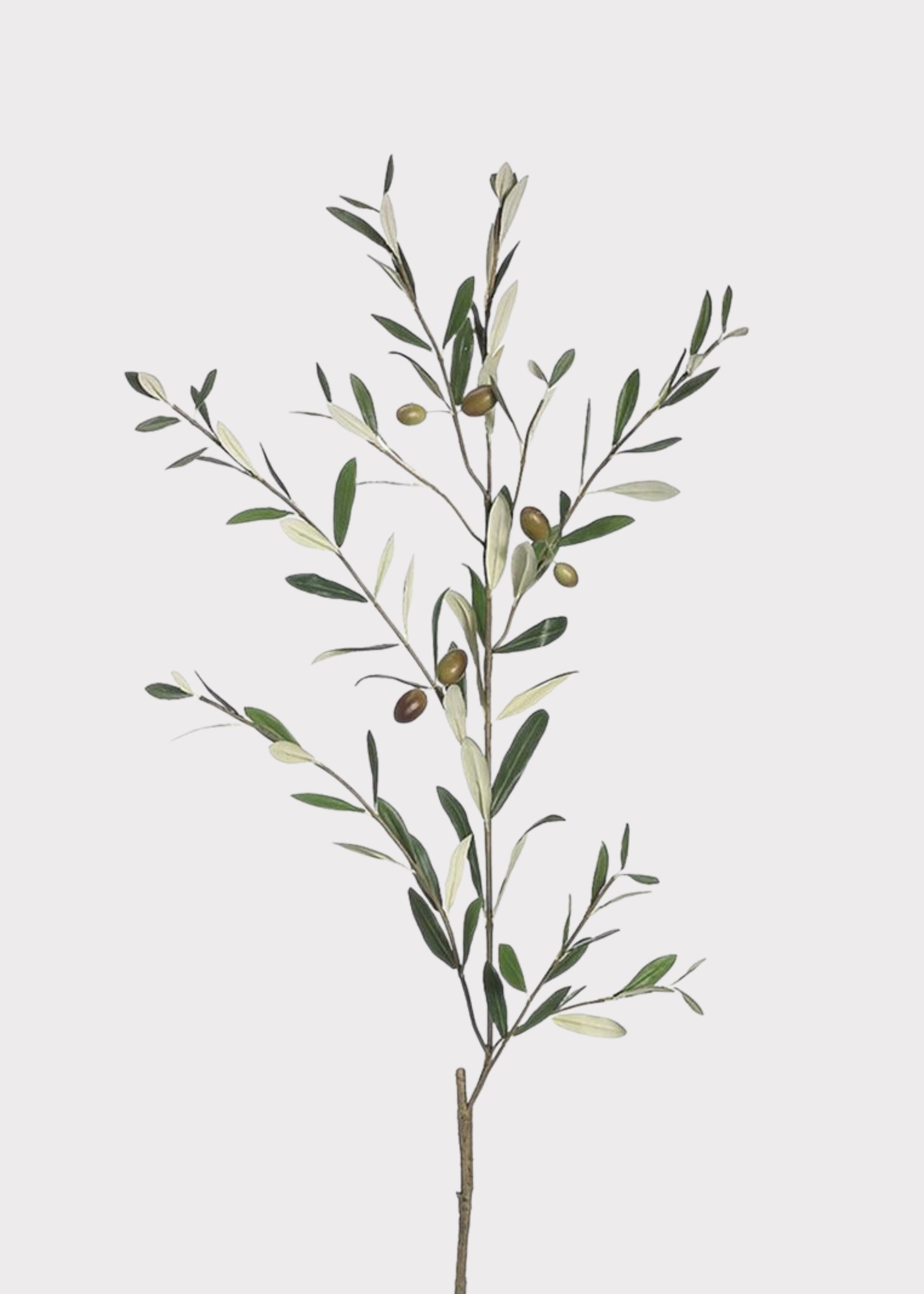 Deluxe Artificial Olive Leaves Branch - 38"