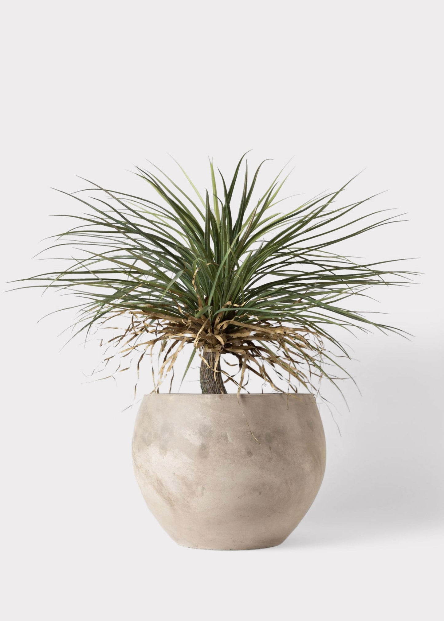 Faux Potted Palm Tree Plant in Cement Planter - 40"