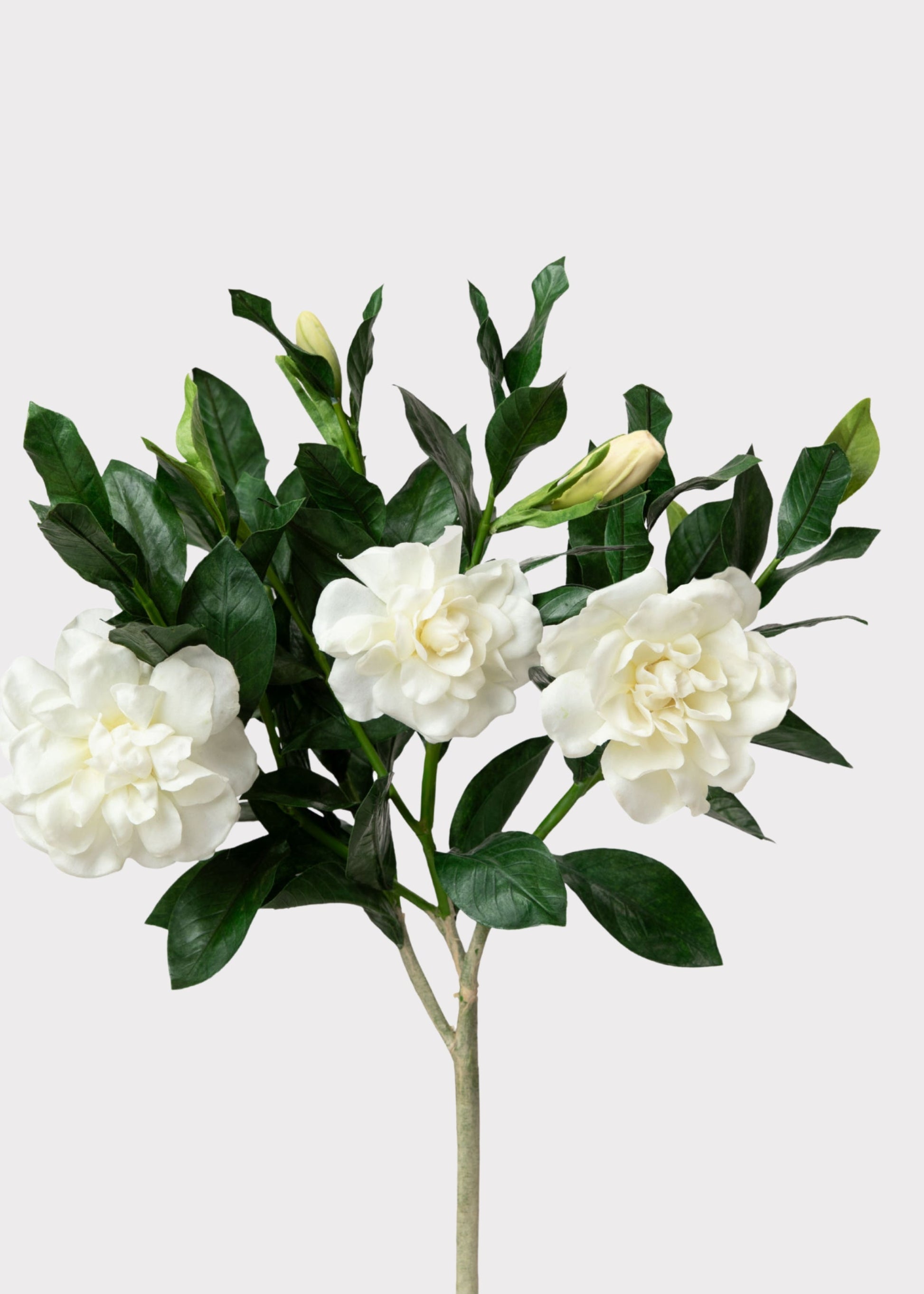 Premium Artificial Gardenia Flower Branch- 19"
