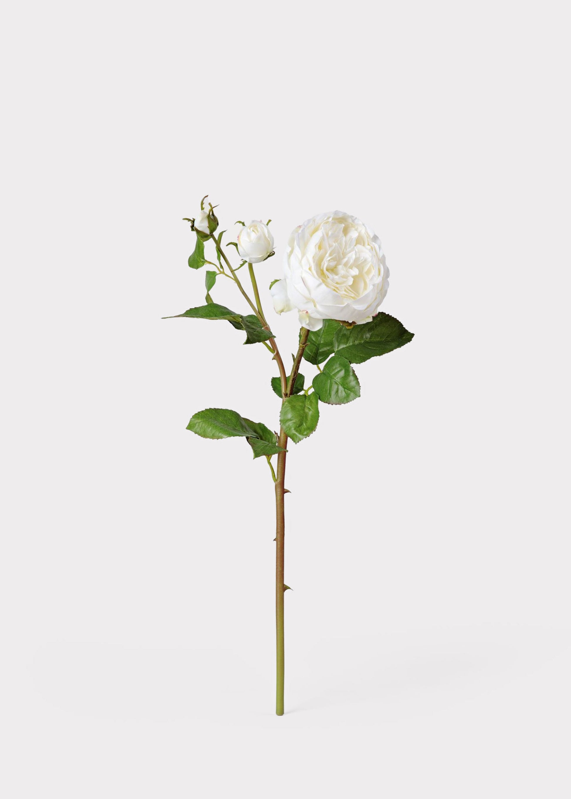 Real Touch Fake Flower English Rose with Bud - 21"