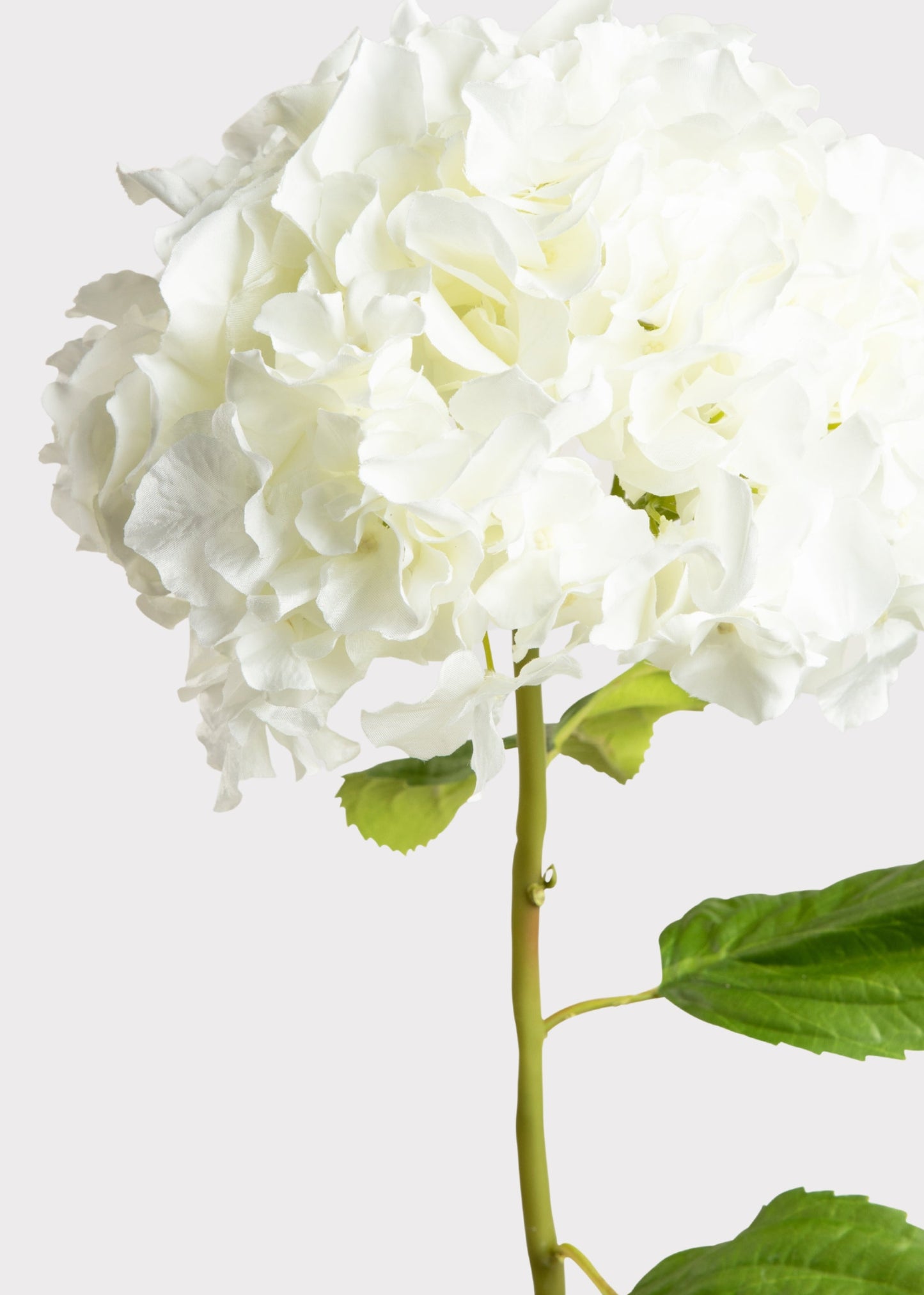 Tall Hydrangea Faux Flower in White - 45"