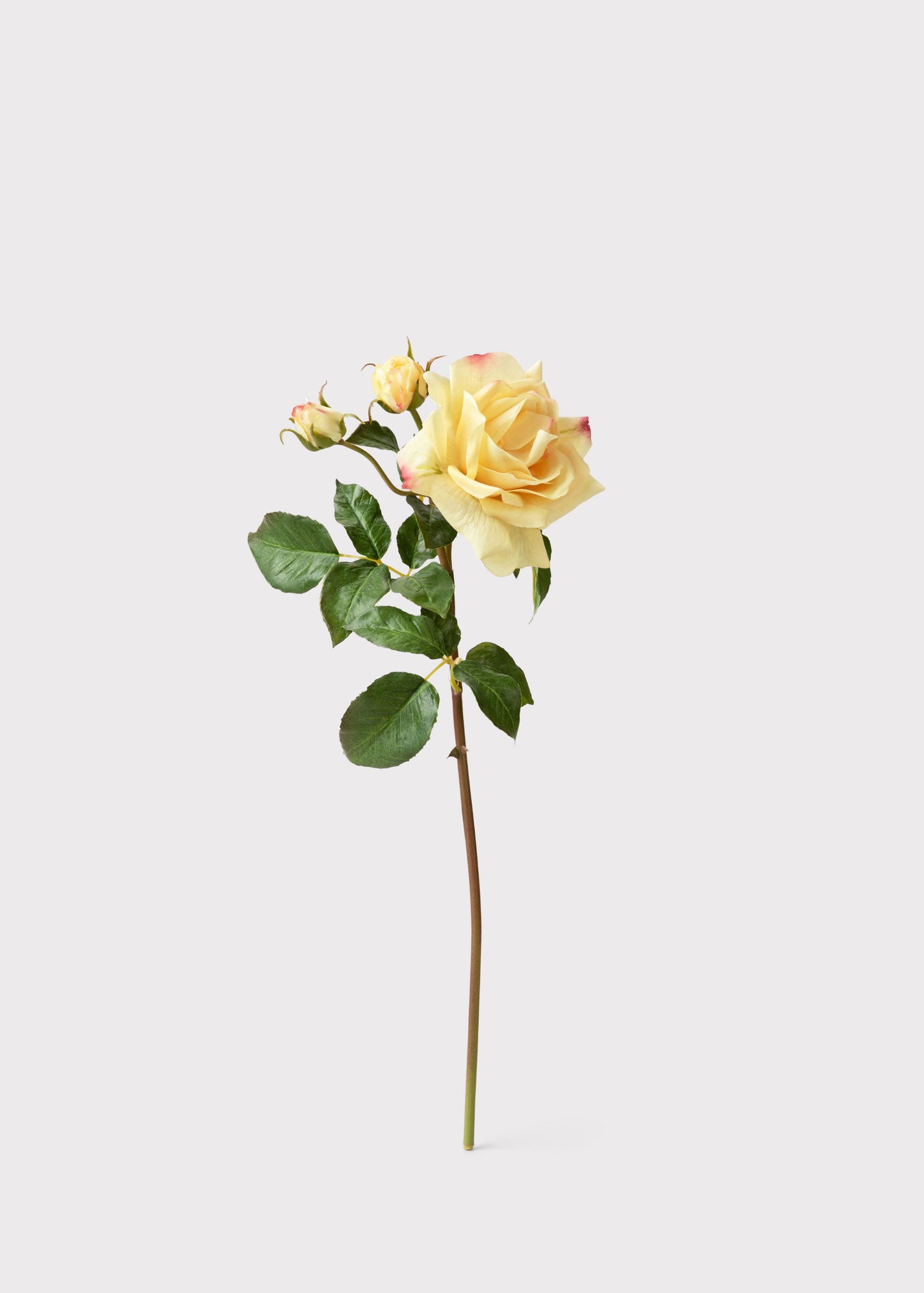 Artificial Real Touch Juliet English Rose in Yellow - 22"
