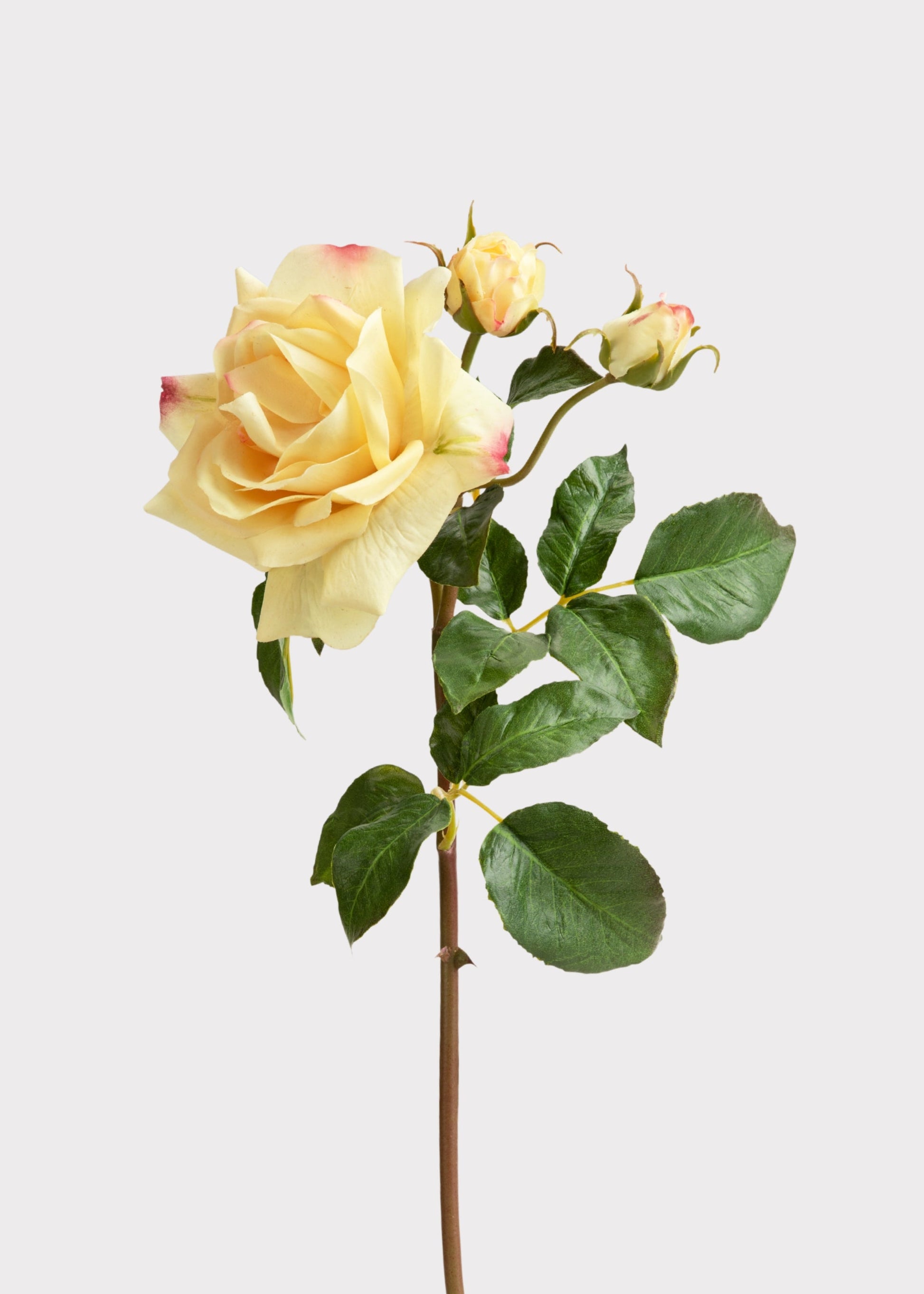 Artificial Real Touch Juliet English Rose in Yellow - 22"
