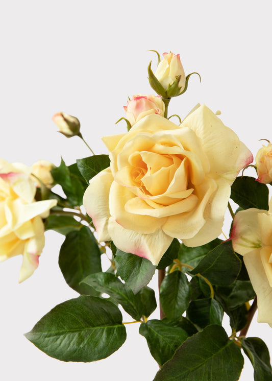 Artificial Real Touch Juliet English Rose in Yellow - 22"