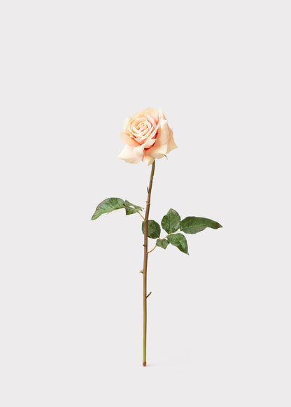Real Touch Artificial Duchess Rose in Peach Dust- 20"