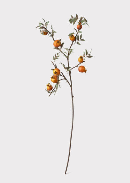 Dried Look Faux Pomegranate Branch  - 44"