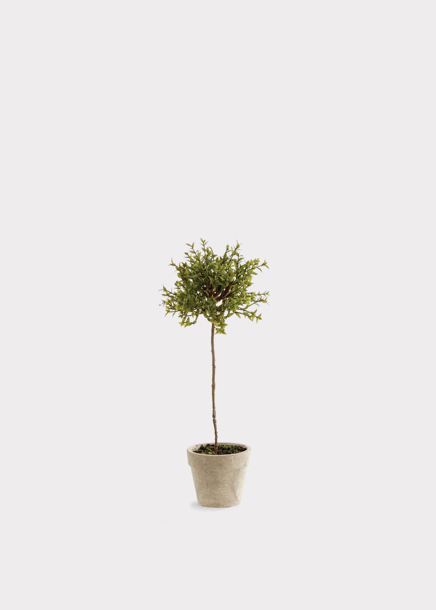 Artificial Thyme Herb Topiary Potted Plant - 13"
