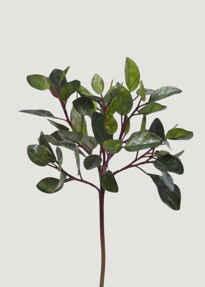 Deluxe Artificial Peperomia Leaf Branch - 36.25"