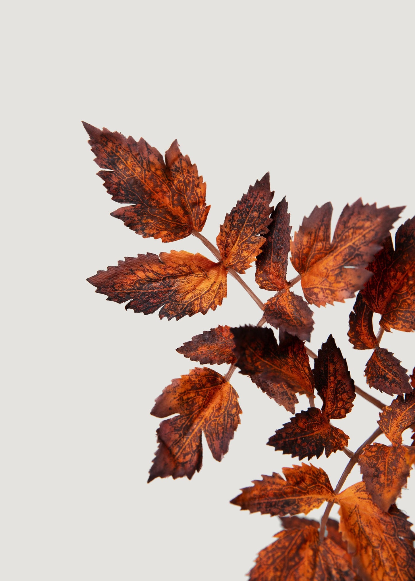 Afloral™ Faux Cimicifuga Leaf Spray in Brown - 31"