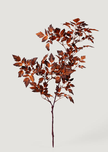 Afloral™ Faux Cimicifuga Leaf Spray in Brown - 31"