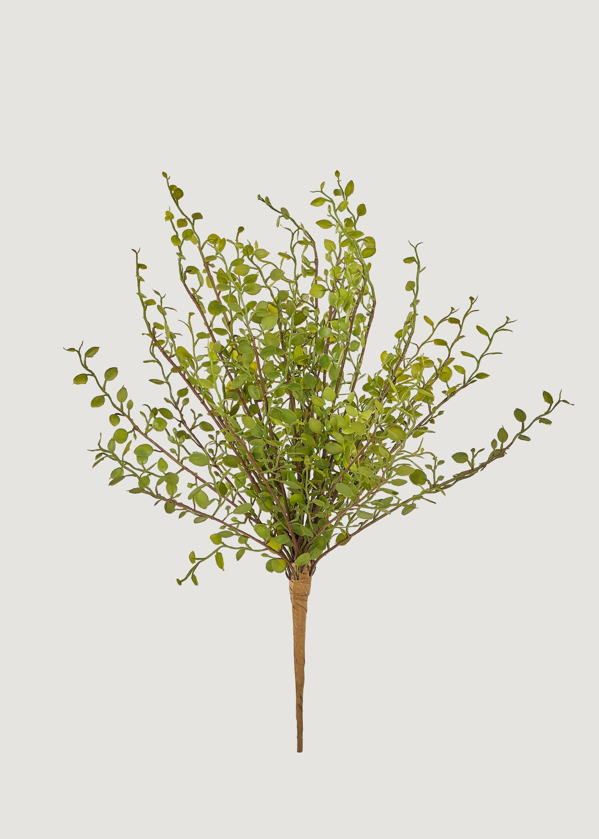Artificial Maidenhair Creeping Vine Bush - 10"