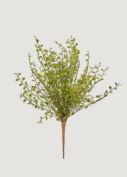 Artificial Maidenhair Creeping Vine Bush - 10"