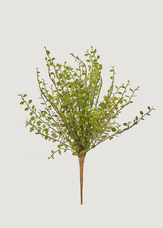 Artificial Maidenhair Creeping Vine Bush - 10"