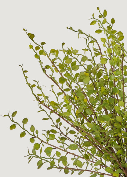 Artificial Maidenhair Creeping Vine Bush - 10"