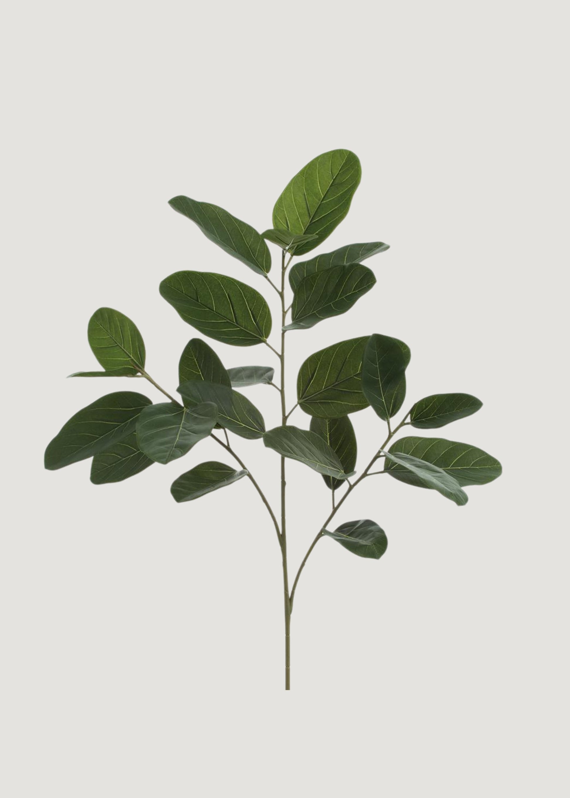 Fake UV Treated Indoor/Outdoor Ficus Audrey Leaf Branch - 35"