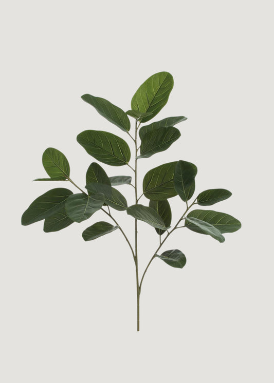 Fake UV Treated Indoor/Outdoor Ficus Audrey Leaf Branch - 35"