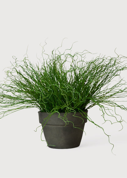 Artificial Potted Pencil Cactus Plant - 18.5"