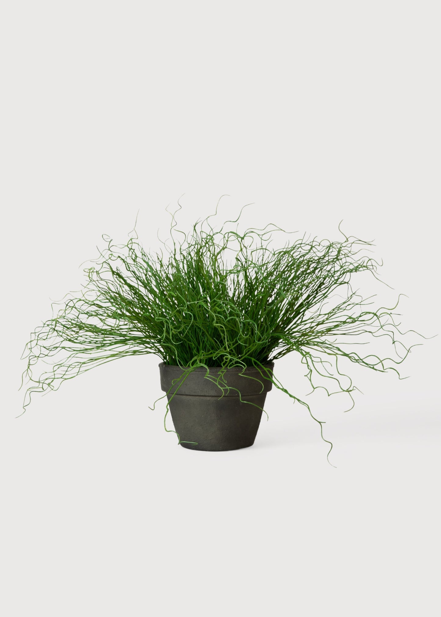 Artificial Potted Pencil Cactus Plant - 18.5"