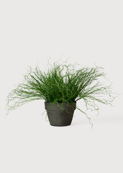 Artificial Potted Pencil Cactus Plant - 18.5"